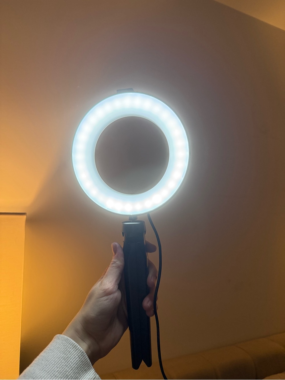 LED Ring Light with Mini Tripod - White Light